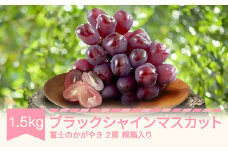 【先行予約】ブラックシャインマスカット 富士のかがやき 桐箱入り ぶどう 約1.5kg 2房 令和7年産 2025年産 果物 フルーツ mm-bufkx1500