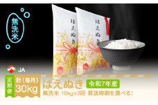 【先行予約】 新米 米 はえぬき 毎月定期便 10kg×3回 無洗米 令和7年産 2025年産 2026年1月下旬～ ja-hamxa10-m1to3c