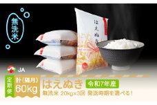 【先行予約】 新米 米 はえぬき 隔月定期便 20kg×3回 無洗米 令和7年産 2025年産 2025年11月中旬～ ja-hamxa20-k11to3b