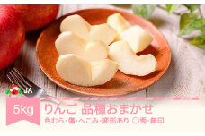 【先行予約】りんご 品種おまかせ 5kg 色むら 傷あり へこみ 変形 昂林 シナノスイート サンふじ ◯秀 無印 2025年産 令和7年産 ja-ri3kx5