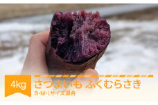 さつまいも ふくむらさき 約4kg 村山市産 2025年産 令和7年 山形県産 no-spfmx4 ※沖縄・離島への配送不可