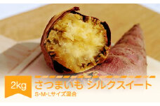 さつまいも シルクスイート 約2kg 村山市産 2024年産 令和六年 山形県産 no-spssx2 ※沖縄・離島への配送不可
