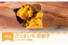 さつまいも 安納芋 約4kg 村山市産 2025年産 令和7年 山形県産 no-spanx4 ※沖縄・離島への配送不可