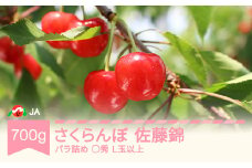 先行予約 さくらんぼ 佐藤錦 700gバラ ◯秀 L玉以上 2026年産 令和8年産 ja-snbax700