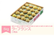 ラ・フランス 洋梨 ラフランス ◯秀品 約5kg 2025年産 令和7年産 果物 sb-lamsx5