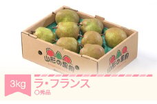 ラ・フランス 洋梨 ラフランス ◯秀品 約3kg 2025年産 令和7年産 果物 sb-lamsx3