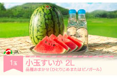先行予約 小玉 すいか 2L×1玉入り 2025年産 令和7年産 品種おまかせ ひとりじめ または ピノガール ja-sukox1