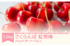 【先行予約】2025年産 さくらんぼ 紅秀峰 秀 Lサイズ以上 1.2kg(200g×6) 山形県産 フルーツ 果物 くだもの サクランボ sb-bsslx1200