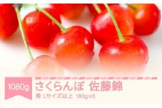 【先行予約】2026年産 令和8年産 さくらんぼ 佐藤錦 秀 Lサイズ以上 1080g(180g×6) 山形県産 フルーツ 果物 くだもの サクランボ ※沖縄・離島への配送不可 sb-snslx1200
