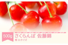 【先行予約】 2025年産 さくらんぼ 佐藤錦 秀 2L 500g 山形県産 フルーツ 果物 くだもの サクランボ sb-sns2x500