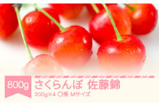 【先行予約】 2025年産 さくらんぼ 佐藤錦 〇秀 Mサイズ 800g (200g×4) 山形県産 フルーツ 果物 くだもの サクランボ sb-snpmx800