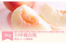 【先行予約】 2025年産 桃 川中島白桃 秀品 約3㎏ (6～12個程度) 山形県産 フルーツ 果物 くだもの もも モモ sb-moknx3