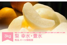 【先行予約】 梨 幸水 豊水 秀品 約3㎏ (6～12個程度) 山形県産 フルーツ 果物 くだもの なし 和梨 sb-nahkx3