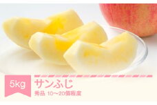 【先行予約】 2025年産 りんご サンふじ 秀品 約5㎏ (10～20個程度) 山形県産 フルーツ 果物 くだもの リンゴ 林檎 sb-risfx5