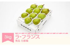 【先行予約】ラ・フランス 化粧箱 3kg 令和7年産 2025年産 山形県産 ラフランス 果物 ns-laxxx3	