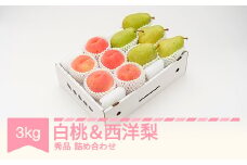 【先行予約】白桃 秀品 & 西洋梨 詰め合わせ 3kg 令和7年産 2025年産 果物 桃 梨 ns-fshyx3