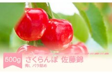 先行予約 さくらんぼ 佐藤錦 秀Lサイズ バラ詰め 500g  2026年産 令和8年産 山形県産 果物  ns-snslb500