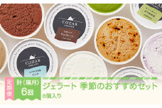 ジェラート おすすめ 6個 セット  隔月定期便 全6回 手作り アイス 国産 詰め合わせ COZAB GELATO cb-gesxx6_tk6