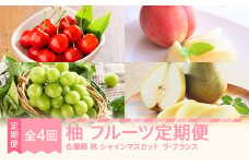 【先行予約】柚 フルーツ 定期便 全4回 さくらんぼ 佐藤錦  もも 白桃 ぶどう シャインマスカット ラ・フランス ギフト 果物 2025年産 令和7年産 山形県産 mm-ft4yz