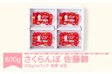 先行予約 さくらんぼ 佐藤錦 赤秀 M玉200g×4パック 2025年産 令和7年産 山形県産 mm-snpmx800