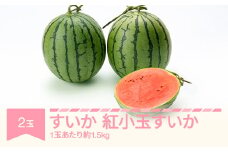 すいか 紅小玉すいか 秀品  2玉 愛娘さくら ピノガール  令和7年産 2025年産 スイカ  果物  no-subkx2