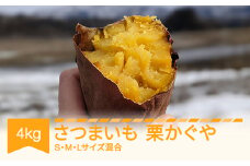 さつまいも 栗かぐや 約4kg 村山市産 2025年産 令和7年 山形県産  no-spkkx4※沖縄・離島への配送不可