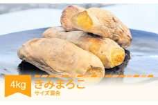 さつまいも  きみまろこ  約4kg 村山市産 2025年産 令和七年 山形県産  no-spkmx4