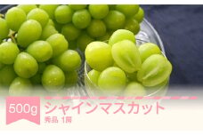 【先行予約】シャインマスカット 秀品 500g 令和7年産 2025年産 果物 mm-busmx1