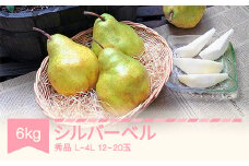 【先行予約】シルバーベル L~4L 秀品 6kg(3kg×2箱) 洋梨 令和7年産 2025年産 果物 mm-sbsxx6