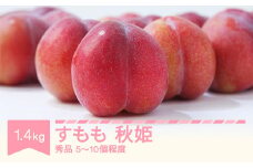 【先行予約】2025年産 すもも 秋姫 果物 秀品 約1.4㎏ (5~10個程度)  sb-plahx1400