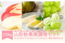 【先行予約】 山形秋果実満喫セット シャインマスカット サンふじ ラ・フランス 秀品 詰め合わせ 2.5kg 化粧箱入り 2025年産 令和7年産 ※沖縄・離島への配送不可 ns-fsrls2500