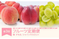 【先行予約】フルーツ定期便 全3回 白桃 すもも シャインマスカット 秀品 2025年産 令和7年産 ※沖縄・離島への配送不可 sb-fthps3