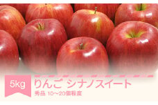 【先行予約】 シナノスイート 秀品 5kg りんご 令和7年産 2025年産 果物 ※沖縄・離島への配送不可 sb-rissx5