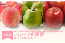 【先行予約】フルーツ定期便 全3回 白桃 ラ・フランス りんご 秀品 2025年産 令和7年産 ※沖縄・離島への配送不可 sb-fthlr3