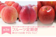 【先行予約】フルーツ定期便 全3回 白桃 すもも りんご 秀品 2025年産 令和7年産 ※沖縄・離島への配送不可 sb-fthpl3