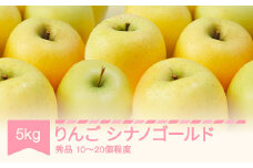 【先行予約】 シナノゴールド 秀品 5kg りんご 令和7年産 2025年産 果物 ※沖縄・離島への配送不可 sb-risgx5