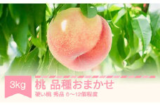 【先行予約】 白桃 硬い 品種おまかせ 秀品 3kg 令和7年産 2025年産 ※沖縄・離島への配送不可 sb-mohth3