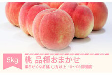 【先行予約】 白桃 品種おまかせ ◯秀品以上 5kg 令和7年産 2025年産 ※沖縄・離島への配送不可 sb-mohts5