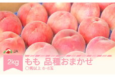 先行予約 もも 桃 品種おまかせ 約2kg 令和7年産 2025年産 山形産 果物 ja-moxxx2