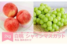 【先行予約】白桃秀品＆シャインマスカット 品種おまかせ 詰め合わせ 約2kg 令和七年産 2025年産 果物  送料無料 ns-fshsx2