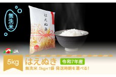 【先行予約】新米 米 5kg はえぬき 無洗米 令和7年産 2025年12月上旬 ja-hamxa5-12a