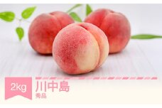 【先行予約】 もも 桃 川中島 約2kg 令和7年産 2025年産 果物 ※沖縄・離島への配送不可 si-moknx2