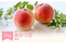 【先行予約】 もも 桃 あかつき 約2kg 令和七年産 2025年産 果物 ※沖縄・離島への配送不可 si-moatx2