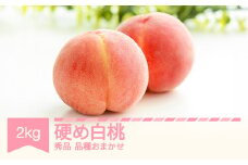 【先行予約】かため白桃おまかせ もも 桃 品種おまかせ 約2kg 令和七年産 2025年産 果物 ※沖縄・離島への配送不可 si-mokox2
