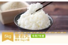 【先行予約】 新米 米 雪若丸 精米 5kg 令和7年産 2025年産 山形県村山市産 mr-ywxxa5