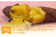 さつまいも シルクスイート 約5kg 村山市産 2025年産 令和7年 山形県産 A品 if-spssx5 ※沖縄・離島への配送不可