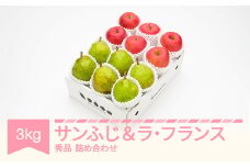 【先行予約】サンふじ ＆ ラ・フランス 3kg 令和7年産 2025年産 山形県産 りんご ラフランス 洋梨 果物  ns-fsrlx3	