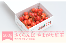 【先行予約】 さくらんぼ やまがた紅王 500gバラＰ 秀2L 2026年産 令和8年産 山形県産 ns-ybs2b500