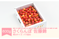 【先行予約】 さくらんぼ 佐藤錦 600g バラ箱 秀M 2026年産 令和8年産 山形県産 ns-snsmb600