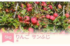 【先行予約】りんご サンふじ 秀品 5kg 令和7年産 2025年産 山形県産 kl-risfs5